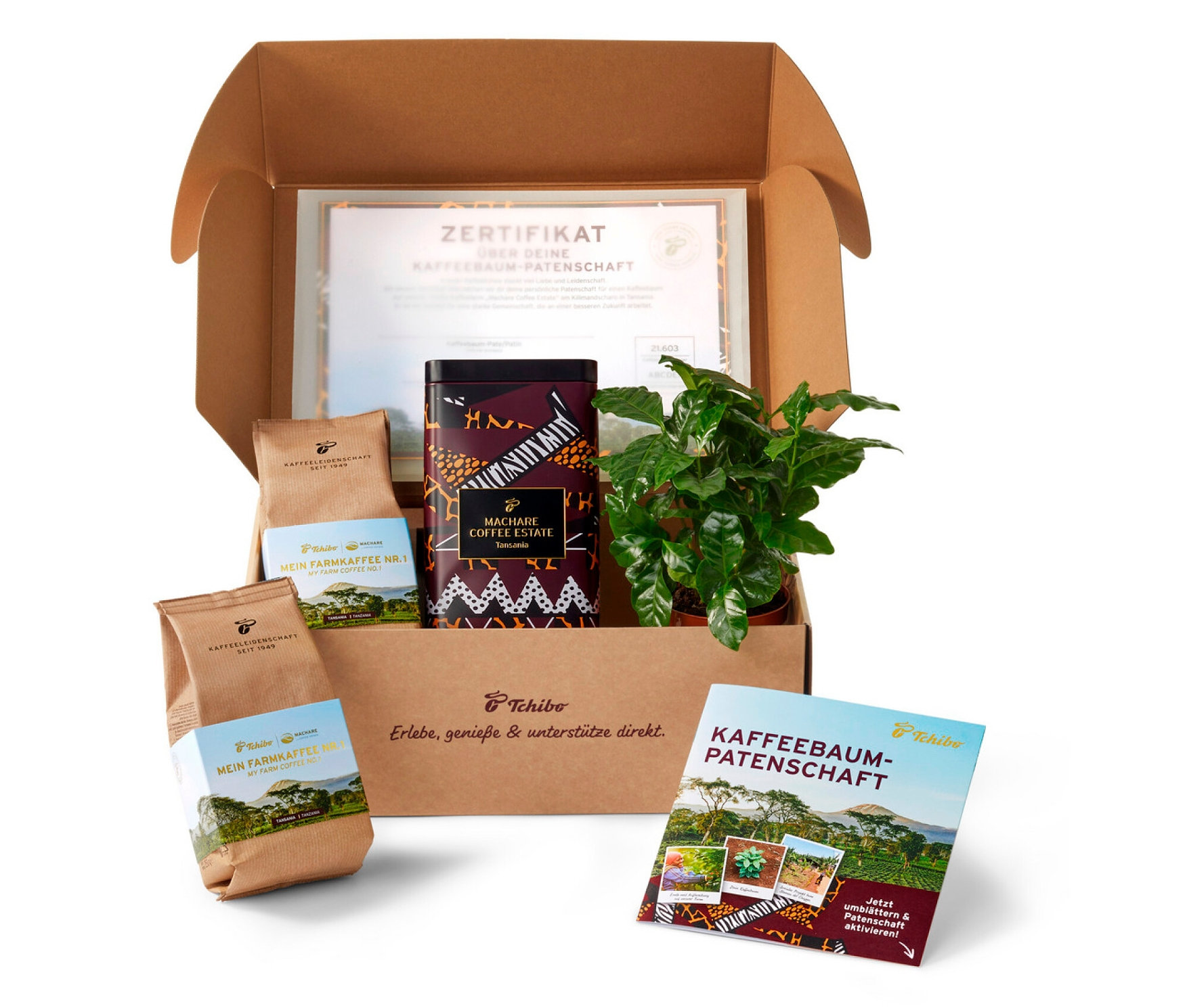Tchibo - Kaffeebaumpatenschaft - Intensität: 4/6