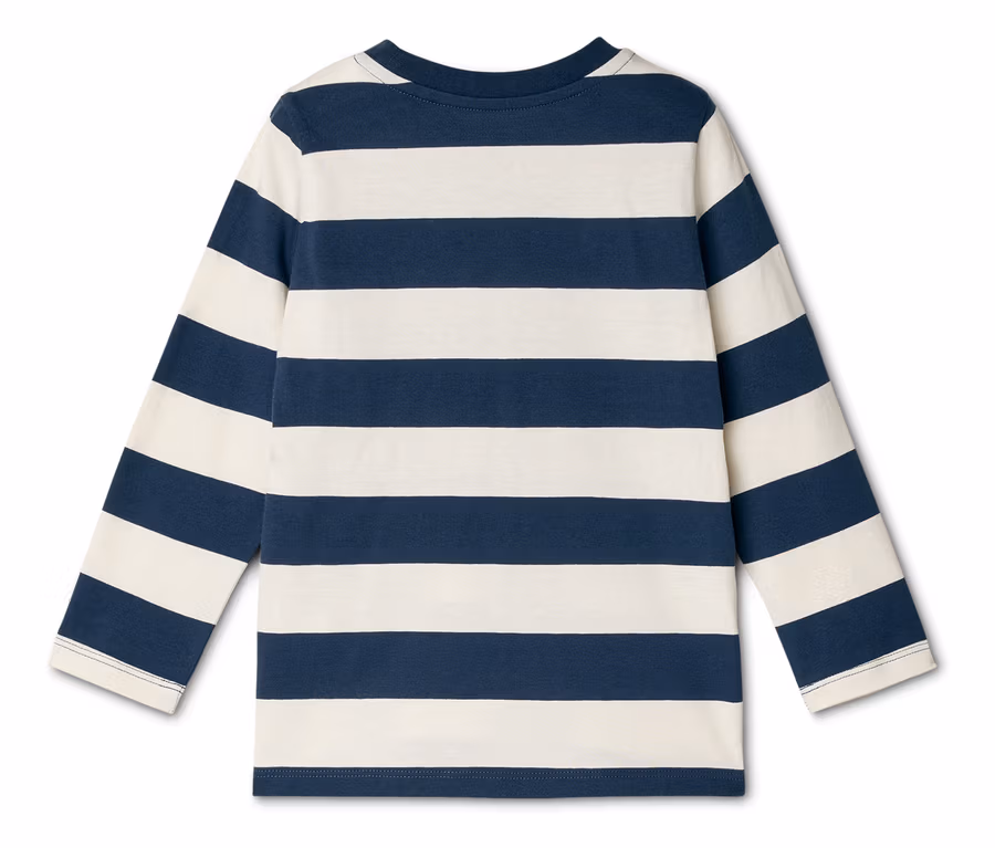 Rückansicht eines langärmeligen, geringelten Shirts in Dunkelblau und Weiß.