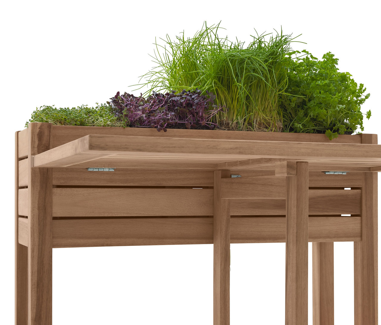 Nahaufnahme eines hölzernen Pflanztisches mit verschiedenen Kräutern, darunter Schnittlauch und Petersilie.