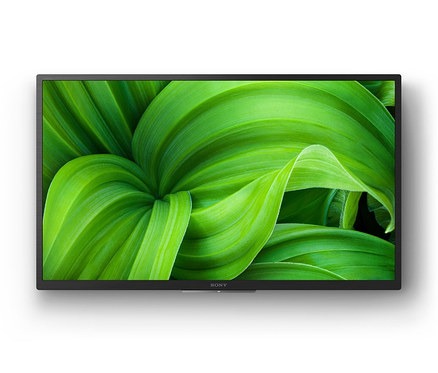 Ein schwarzer Fernseher zeigt eine Nahaufnahme von grünen Blättern. Auf dem Bildschirm ist der Sony-HDR-Android-TV »KD32W800PAEP« zu sehen.