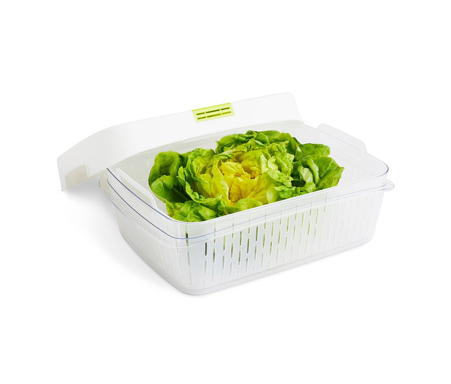 Grüner Salat in Rotho Klimabox-Set mit weißem Deckel.