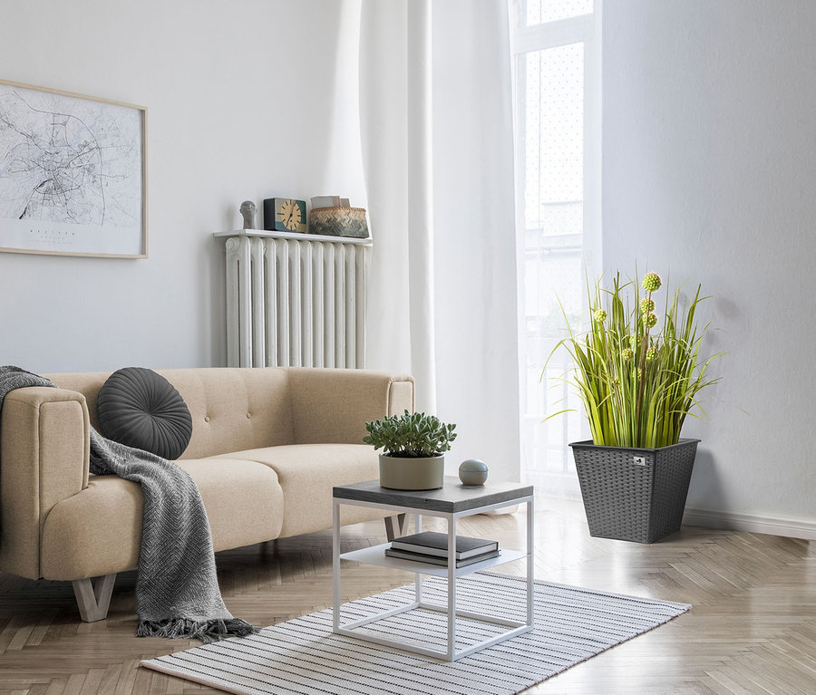 Wohnzimmer mit beigem Sofa, grauem Rundkissen und Überwurf. Auf einem Tisch steht eine Topfpflanze. In der Ecke des Raumes stehen 2 XL-Pflanzgefäße aus Polyrattan, anthrazit.