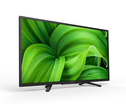 Ein schwarzer Fernseher zeigt grüne Blätter auf dem Bildschirm. Sony-HDR-Android-TV »KD32W800PAEP«