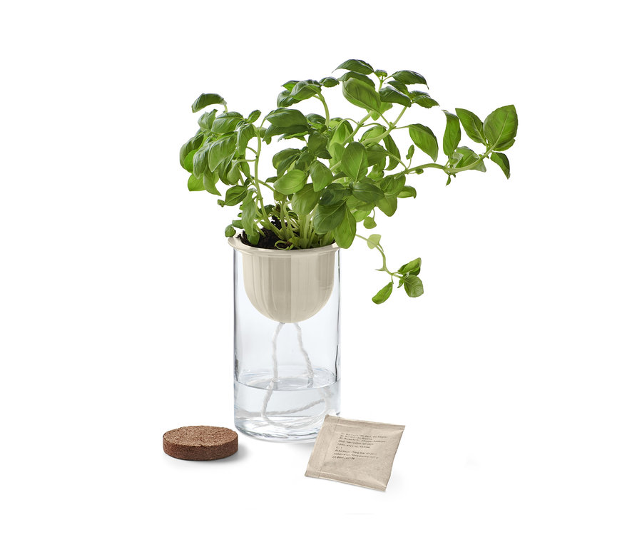 Hydroponic-Kit mit Basilikum in einem transparenten Glas, daneben eine Tablette Erde und eine Tüte mit Samen.