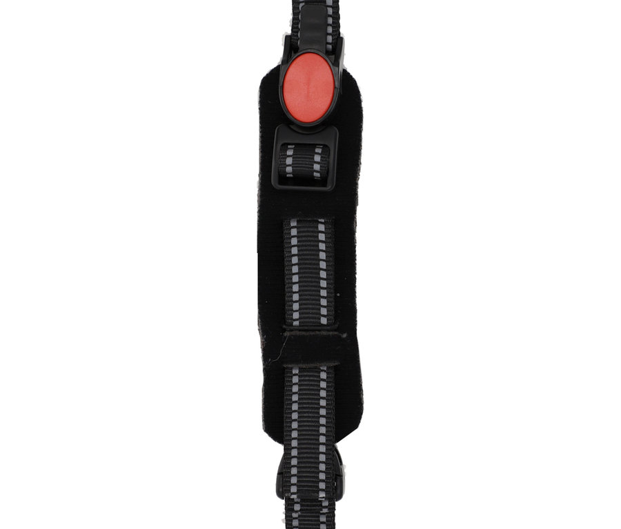 Nahaufnahme eines schwarzen Hundegeschirrs mit roten und grauen Akzenten.