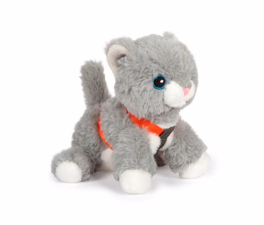 Graue Stoffkatze mit blauen Augen und rosa Nase, die ein rotes Geschirr trägt. Laut Produktliste handelt es sich um eine small foot Katze mit Tasche und Pflege-Set.