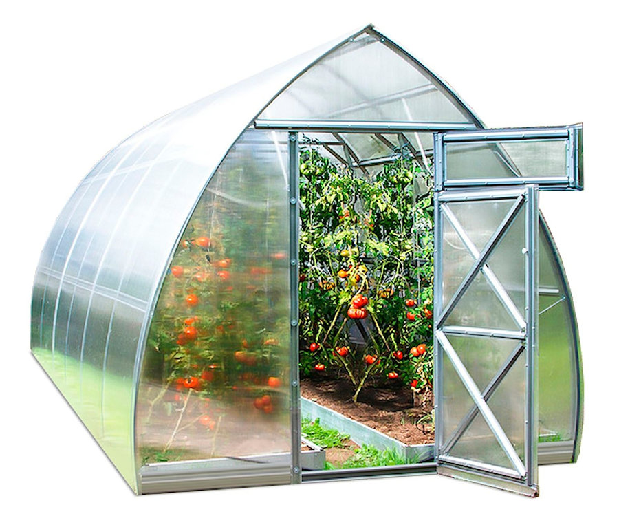Offenes Gewächshaus »Arrow« mit Tomaten im Inneren.