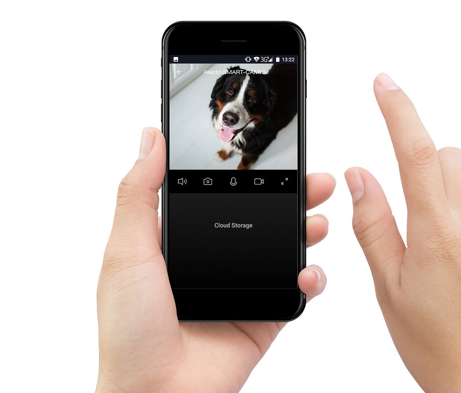Person hält ein Mobiltelefon, das einen Live-Feed eines Hundes von einer Alecto Smart WLAN-Kamera für den Innenbereich anzeigt.