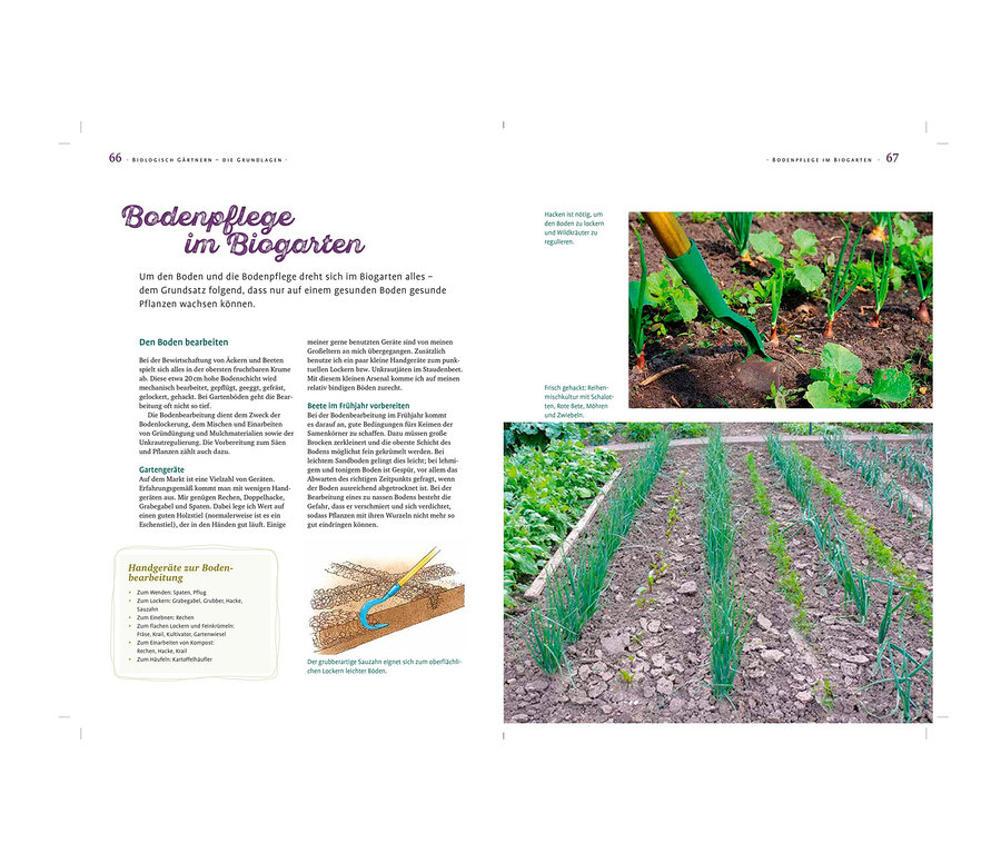 Abbildung eines Gartenbuchs mit Werkzeug und Gemüse. Zu sehen ist das Buch: »Das große Ulmer Biogartenbuch«