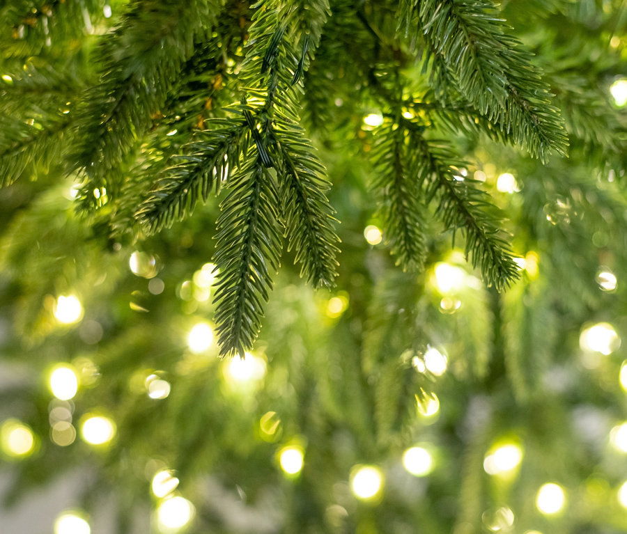 Nahaufnahme der grünen Zweige der LED-Tanne Sherwood mit kleinen Lichtern.