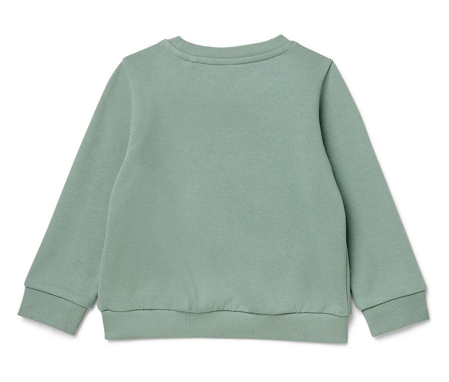 Rückansicht eines hellgrünen, langärmeligen Sweatshirts.