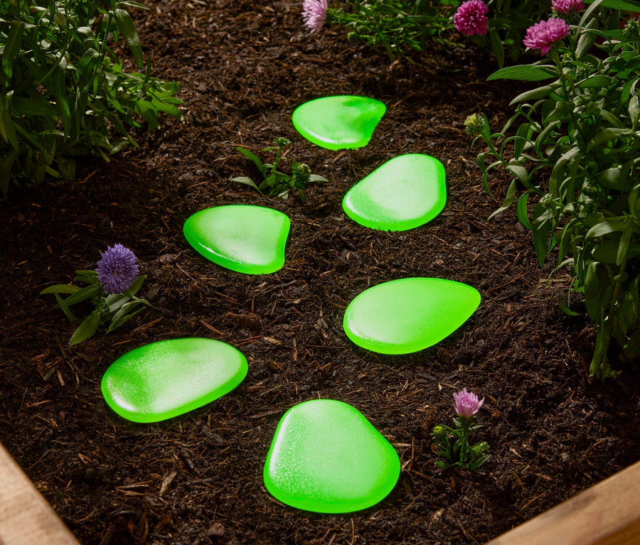 Grüne Ziersteine liegen im Beet zwischen Pflanzen.