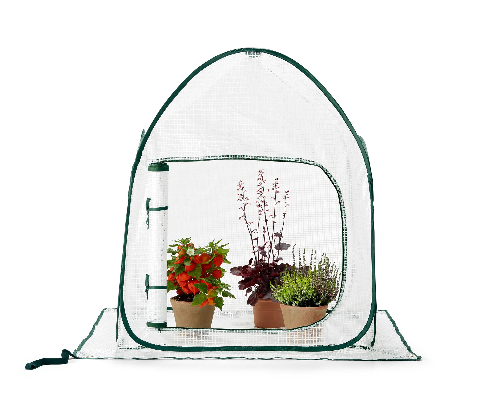 POP günstig Kaufen-Tchibo - Kleines Pop-up-Pflanzenschutz-Zelt - 80x80x95cm - dunkelgrün - Fiberglas / Polyethylen / Polyester. Tchibo - Kleines Pop-up-Pflanzenschutz-Zelt - 80x80x95cm - dunkelgrün - Fiberglas / Polyethylen / Polyester <![CDATA[Kleines Pop-up-Pfla