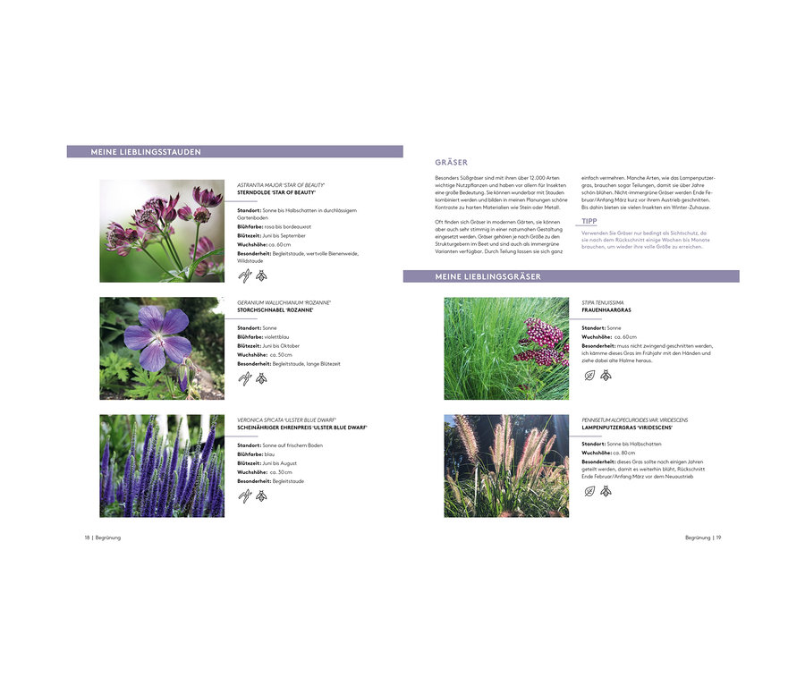 Das Bild zeigt verschiedene Pflanzenarten, darunter Astrantia Major 'Star of Beauty', Geranium Wallichianum 'Rozanne', Veronica Spicata 'Ulster Blue Dwarf', Stipa Tenuissima und Pennisetum Alopecuroides var. Viridescens. Abgebildet ist auch das Buch "Der A bis Z Gartencoach".