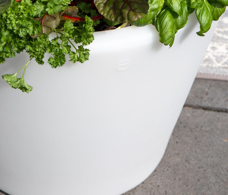 Kräuter wachsen in einem weißen 8 seasons design Solar-Topf.