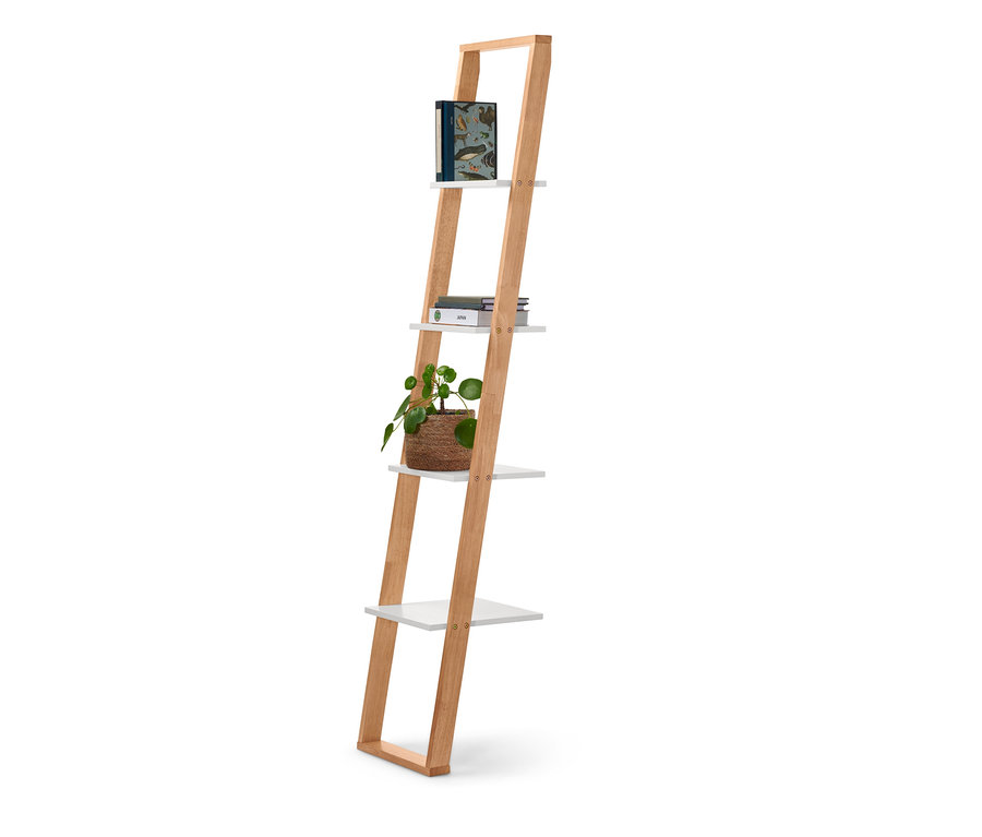 Ein schmales Leiterregal mit Büchern und einer Topfpflanze.