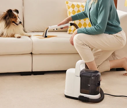 Frau reinigt einen Fleck auf einem cremefarbenen Sofa mit einem Tineco i Carpet Spot, daneben liegt ein Hund.