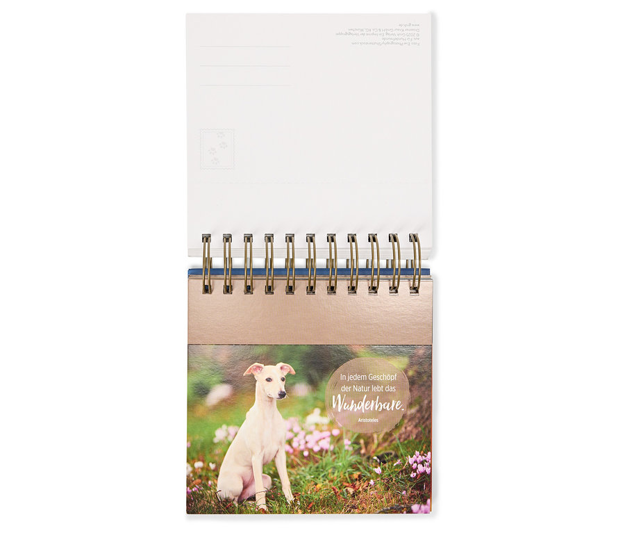 Tischkalender mit Foto eines Hundes, der im Gras sitzt.