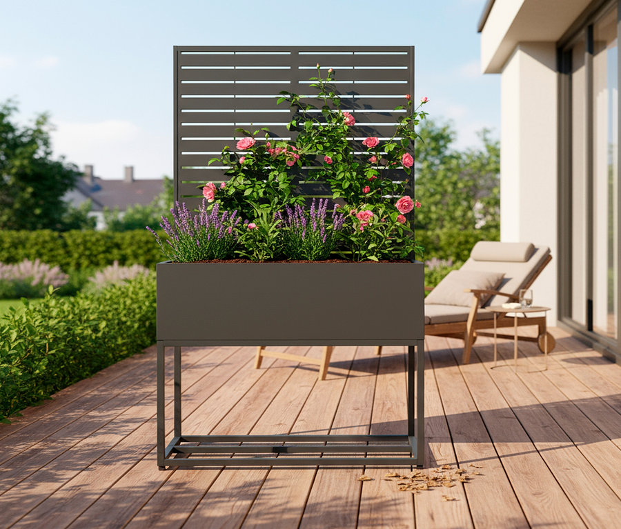 Pflanzkasten mit Rosen und Lavendel auf einer Terrasse.