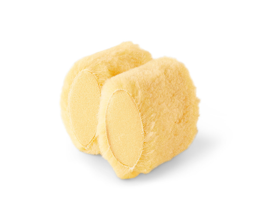 Zwei Fleckenmäuse auf weißem Hintergrund.