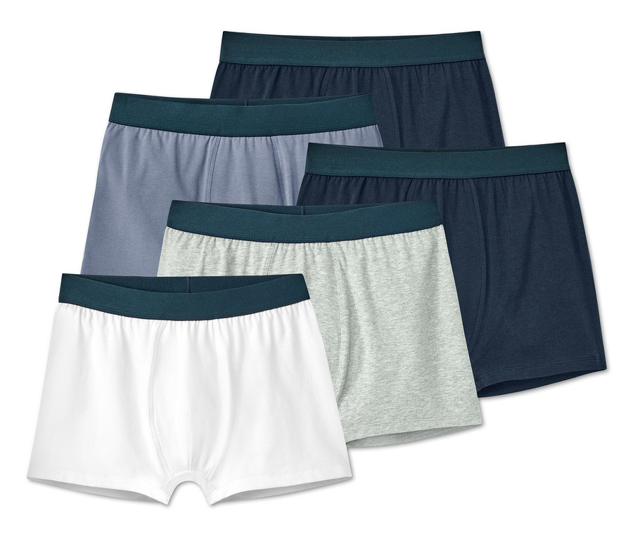 Fünf Slipboxer in verschiedenen Farben.