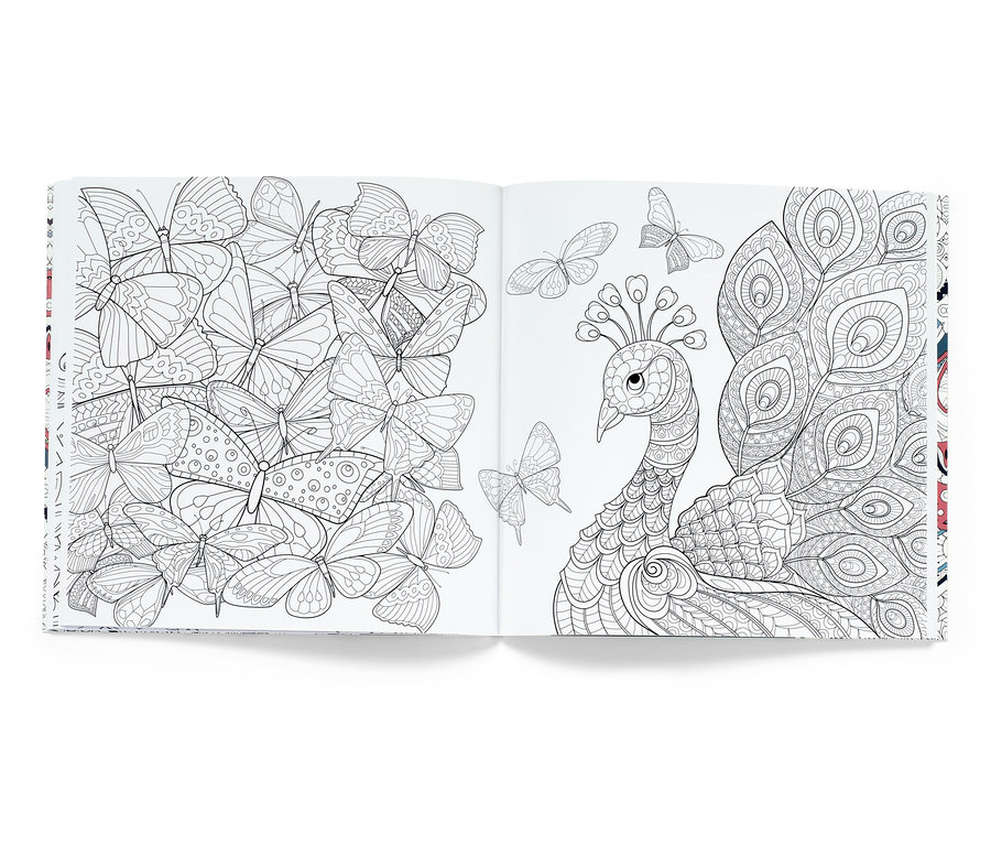 Aufgeschlagenes Buch »Meine kreative Ausmalzeit« mit Abbildungen von Schmetterlingen und einem Pfau zum Ausmalen.