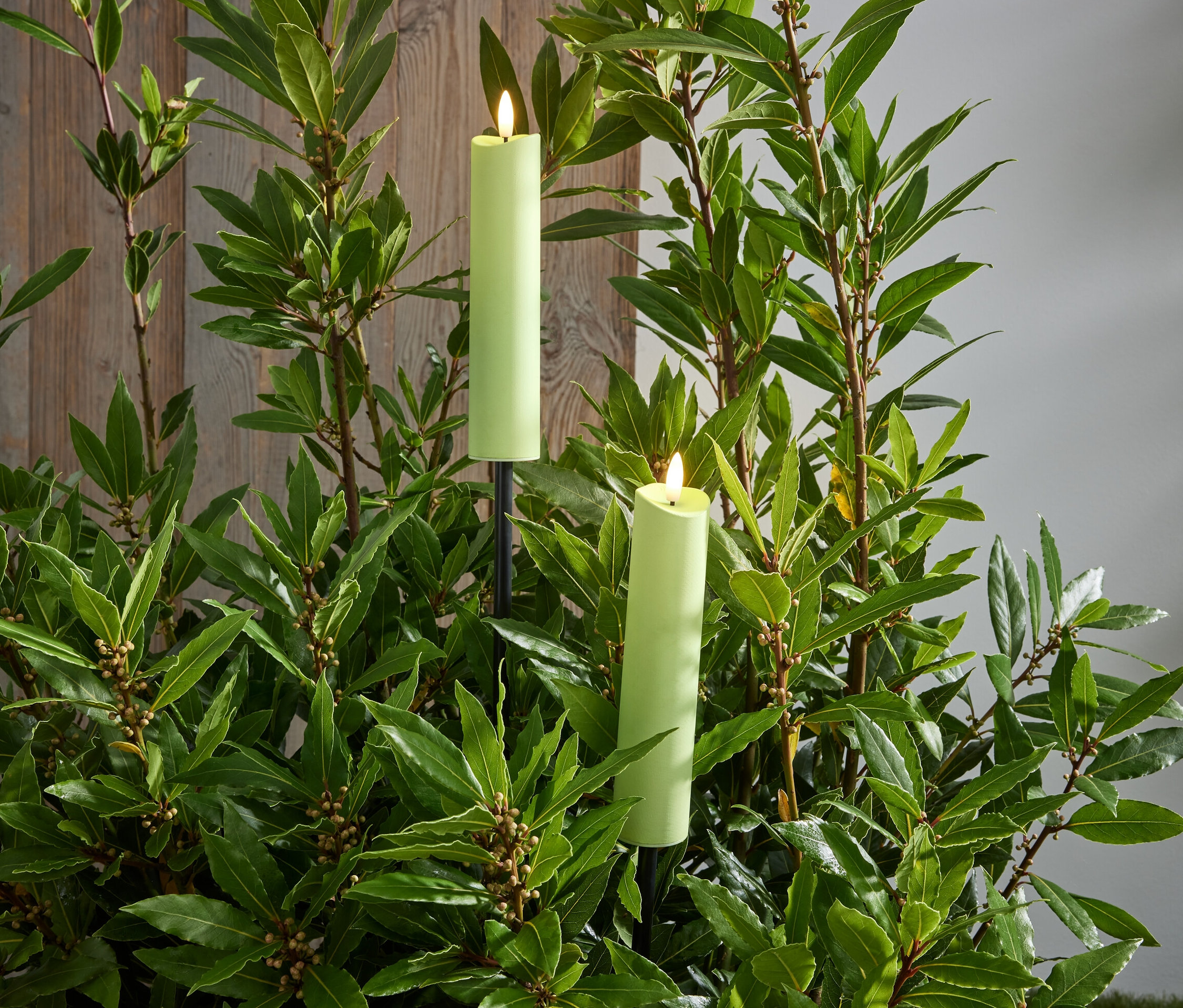 Zwei LED-Gartenfackeln zwischen grünen Pflanzen.