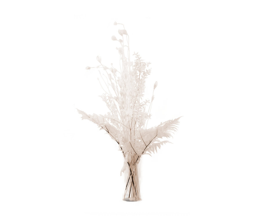 Dekorative Trockenblumen in einer Vase. Im Bild ist die Trockenblume "White Sensation", bis ca. 120 cm zu sehen.