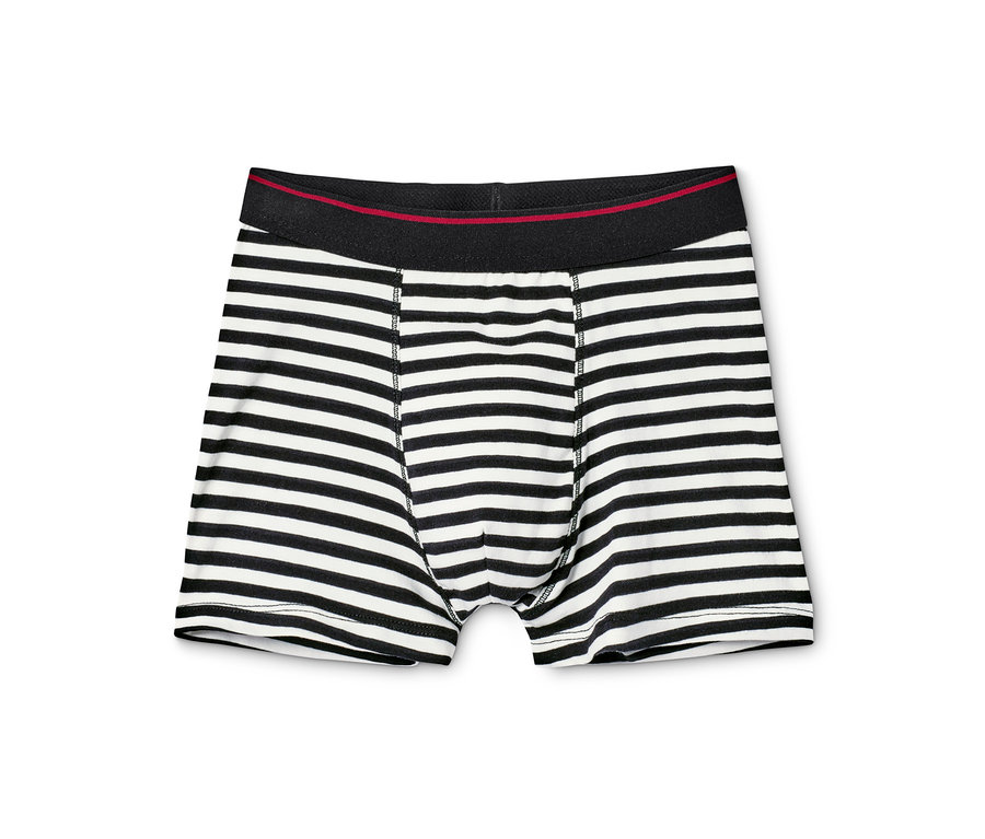 Eine einzelne Jungen-Slipboxer mit schwarzen und weißen Streifen.