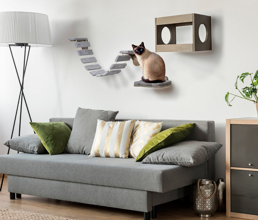 Siamkatze klettert auf grauem Katzenmöbel-Set an der Wand im Wohnzimmer.
