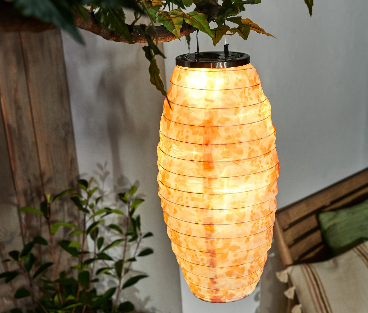 Solar-Lampion hängt an einem Baum.