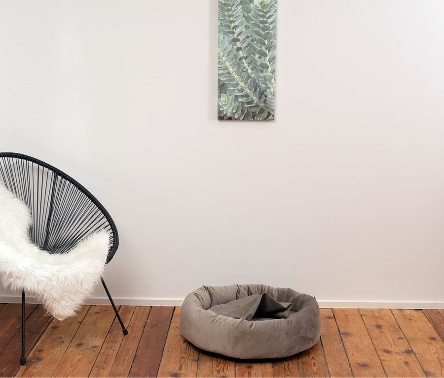 Auf einem Holzboden stehen eine graue Kuschelinsel "Lajos" und ein schwarzer Sessel mit weißem Fell. An der Wand hängt ein Pflanzenbild.