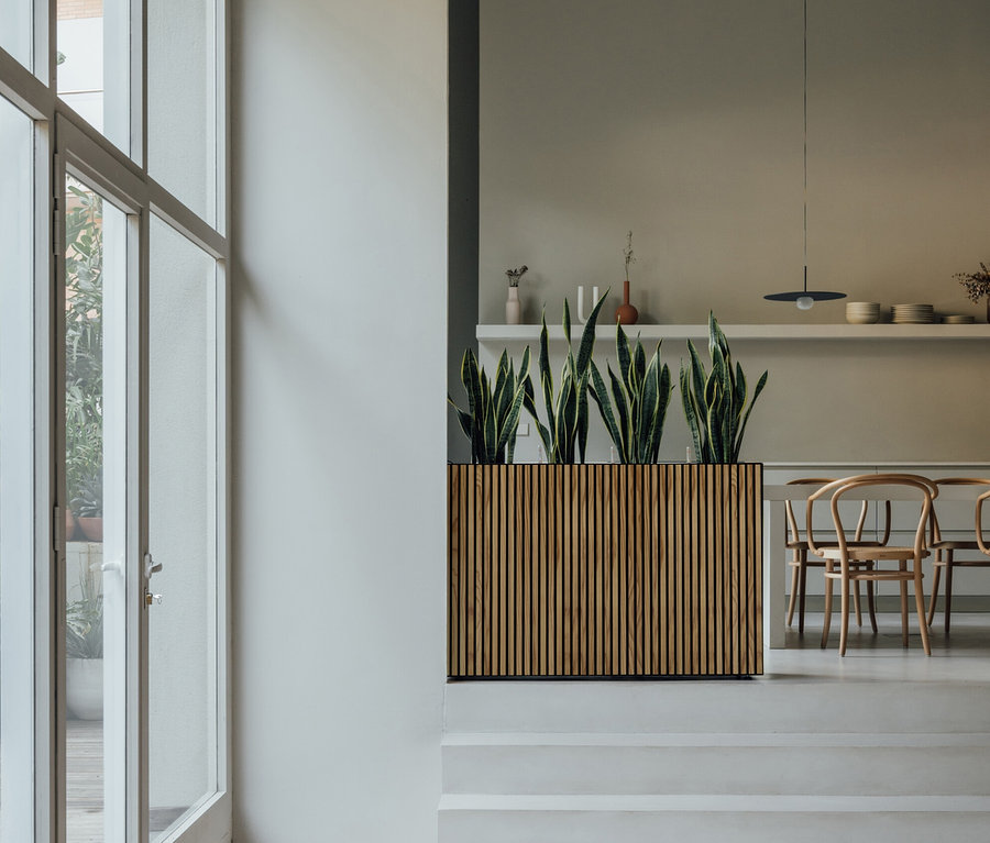 Innenraum mit Herstera Garden Pflanzkasten »Divider« und Pflanzen auf Treppen.