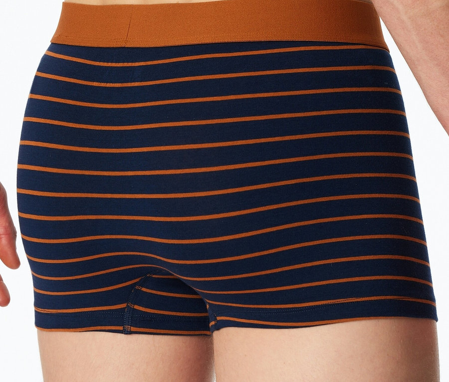Nahaufnahme der Rückseite eines Mannes, der blau-braun gestreifte Boxershorts mit braunem Bund trägt.