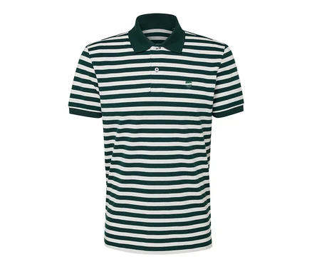 Gestreiftes Piqué-Poloshirt in Grün und Weiß.