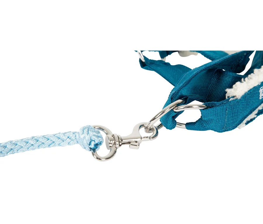 Nahaufnahme einer hellblauen geflochtenen Seilleine, die mit einem silbernen Karabinerhaken an einem türkisfarbenen Stoffgeschirr mit weißem flauschigem Besatz befestigt ist.