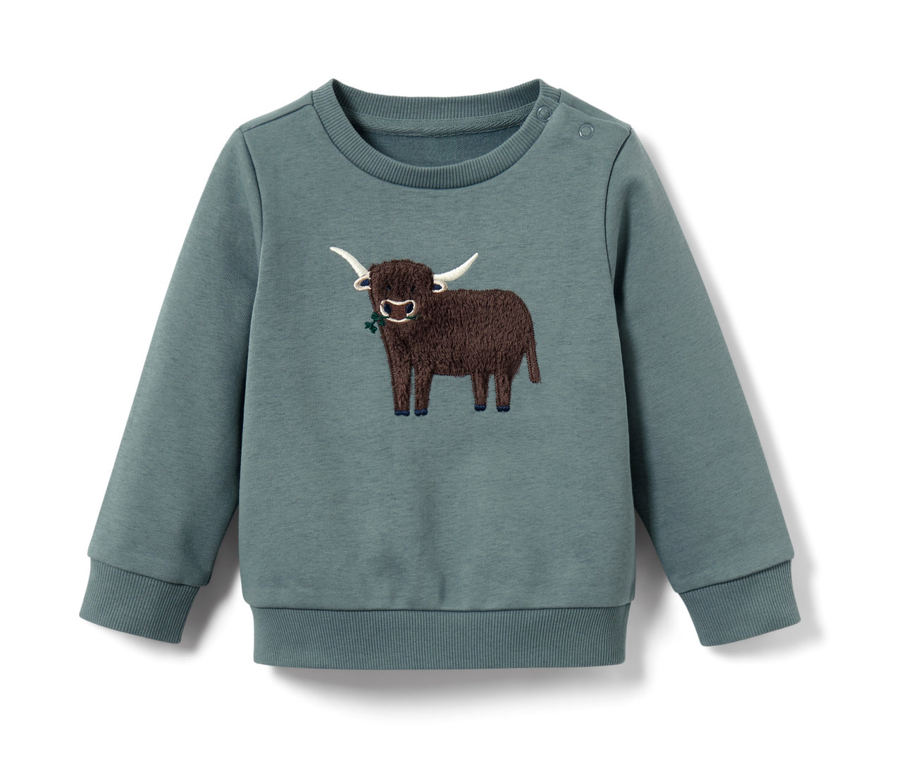 Kleinkind-Sweater mit braunem schottischen Hochlandrind mit weißen Hörnern.