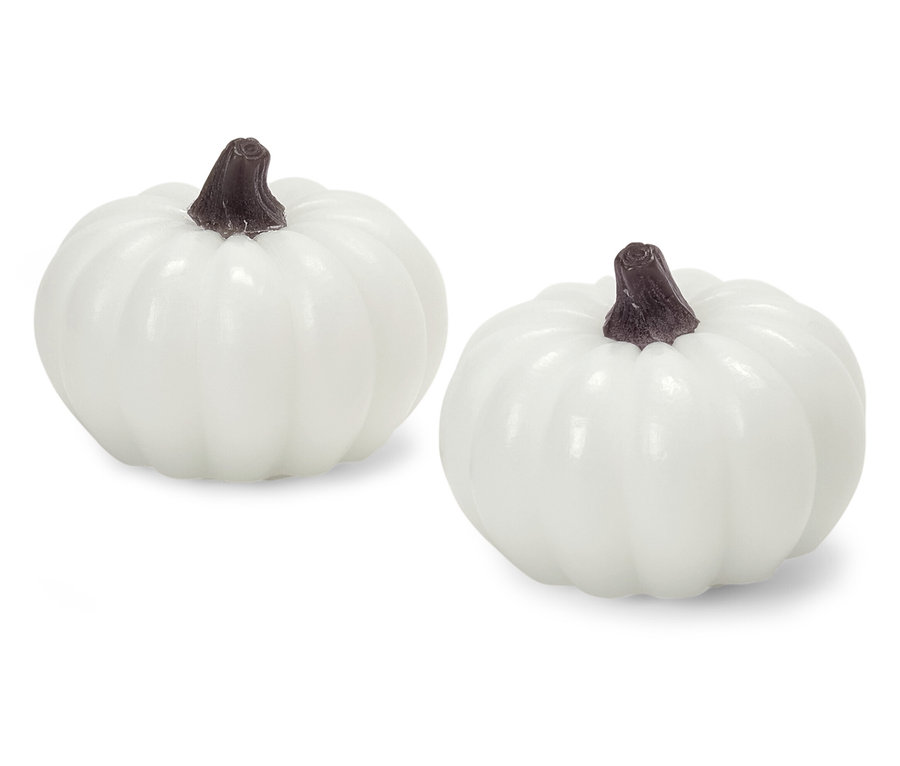 Zwei weiße Kürbisse mit braunen Stielen liegen auf einem weißen Hintergrund.