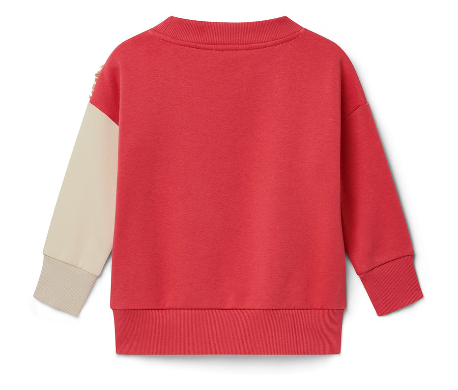Rückansicht eines roten Sweatshirts mit cremefarbenem Ärmel.