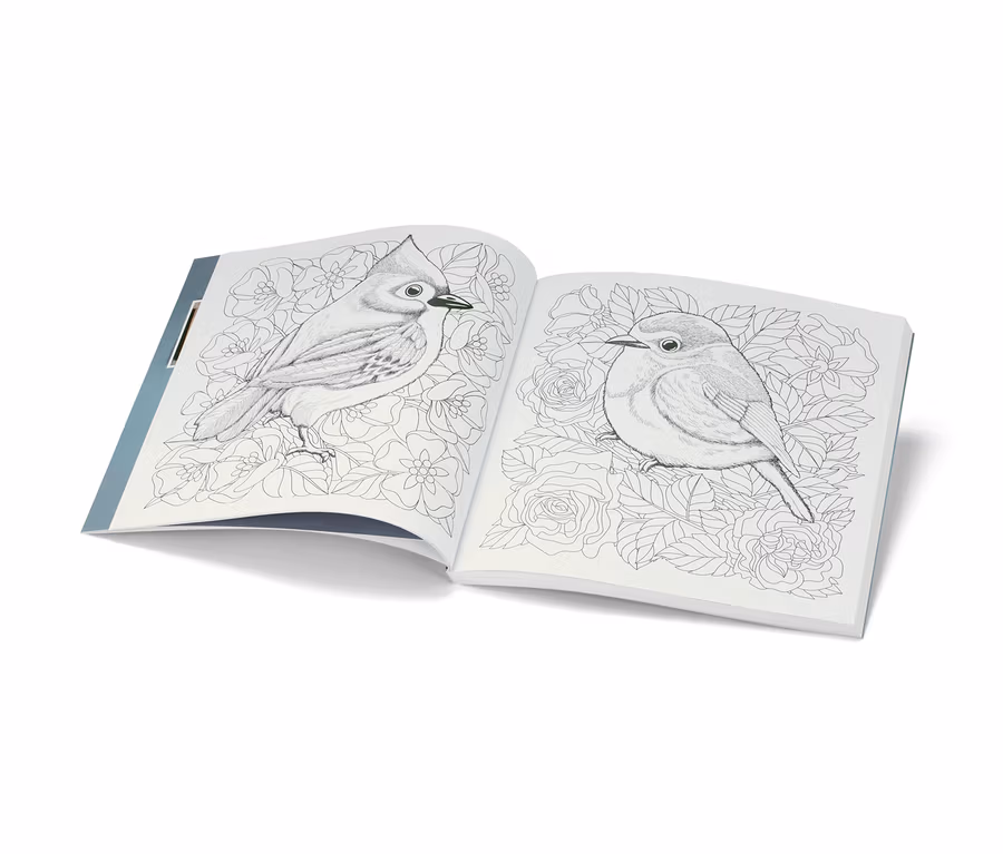 Offenes Buch mit Vogel- und Blumenzeichnungen; Buch: »Mandala und Farbenzauber«