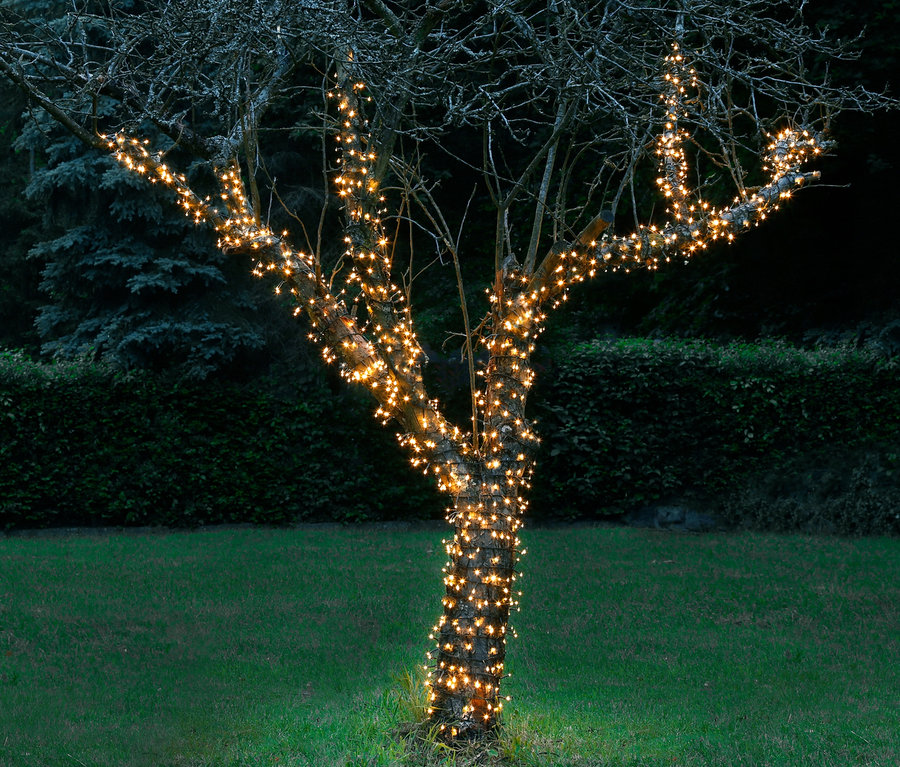 Baum umwickelt mit einer 30 m langen AMARE Lichterkette.