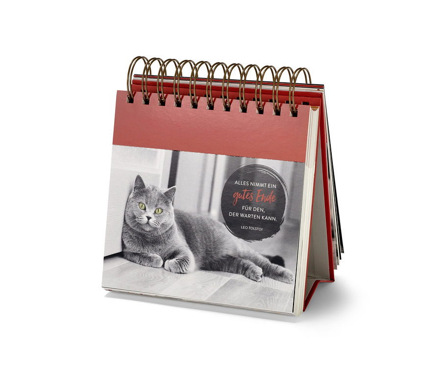 Aufsteller »Weisheiten für Katzenfreunde« mit dem Foto einer liegenden, grauen Katze.