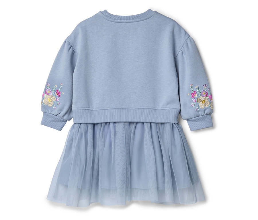 Hellblaues Kleid mit Tüllrock und Blumenstickerei am Ärmel.