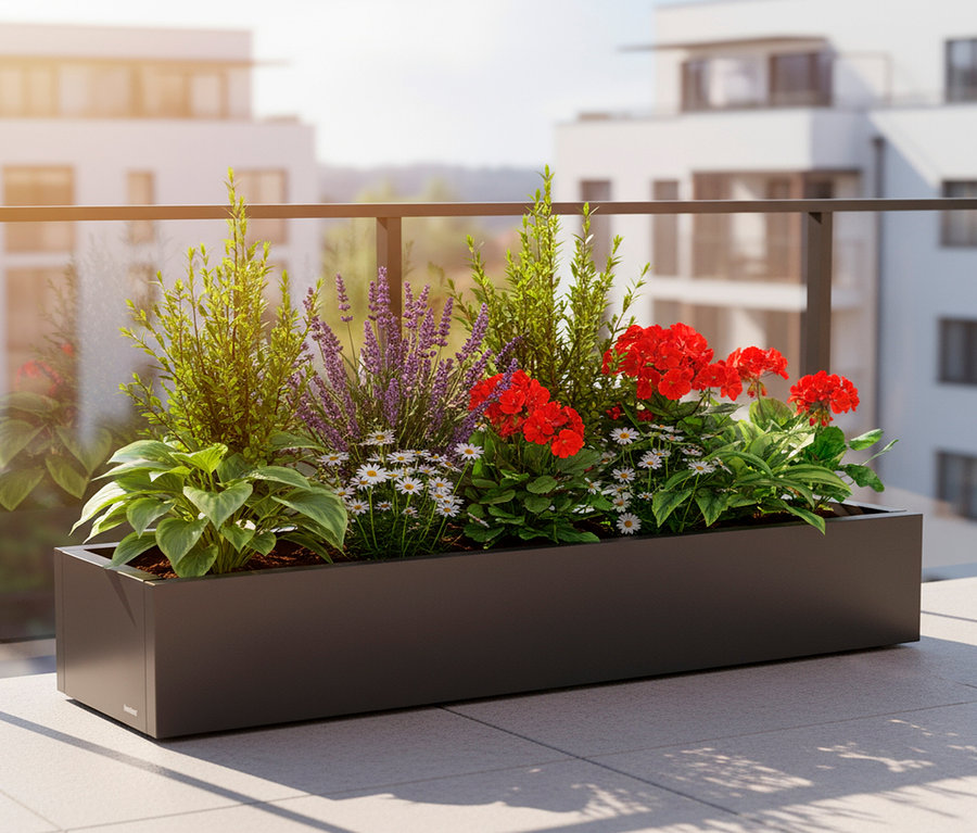 Blumenkasten mit roten Geranien, Lavendel und Margeriten auf einem Balkon.