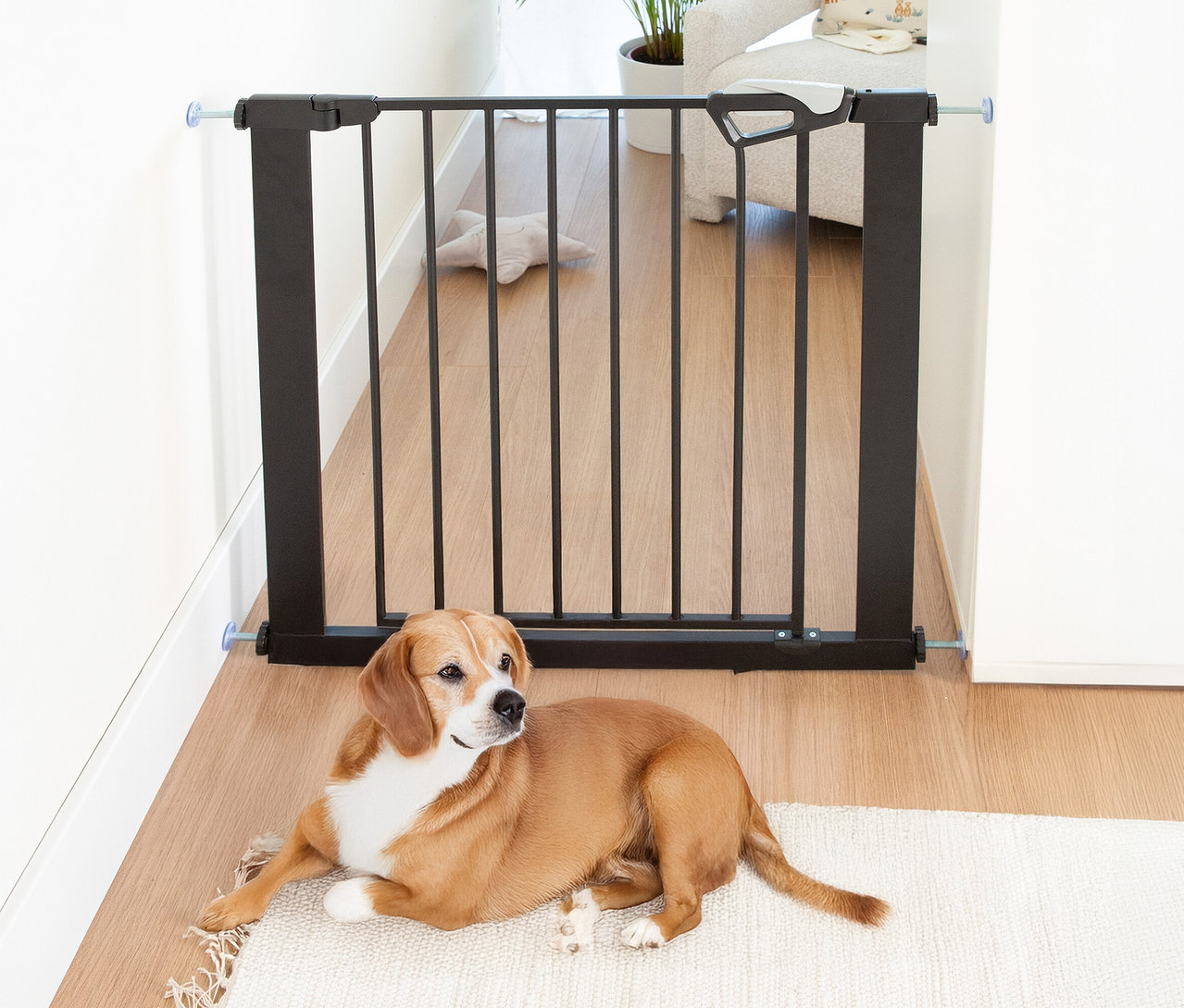 Ein braun-weißer Hund liegt vor einem schwarzen roba easySafe+ Tür-und-Treppen-Schutzgitter, das in einem hellen Flur installiert ist.
