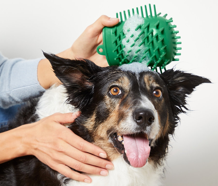 Frau reinigt Hundekopf mit 2-in-1: Tierpfotenreiniger und -pflegebürste.