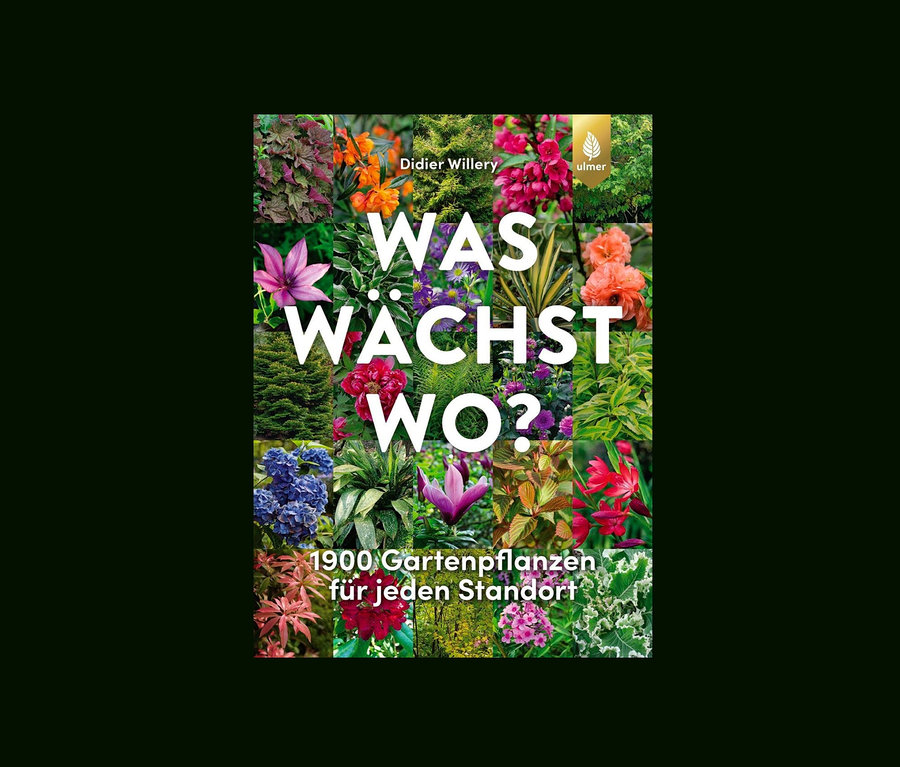 Collage verschiedener Pflanzen mit dem Text "WAS WÄCHST WO?" mit dem Buch »Was wächst wo?«