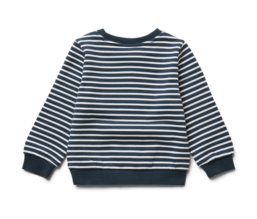 Gestreiftes Baby-Sweatshirt mit langen Ärmeln und angerauter Innenseite.