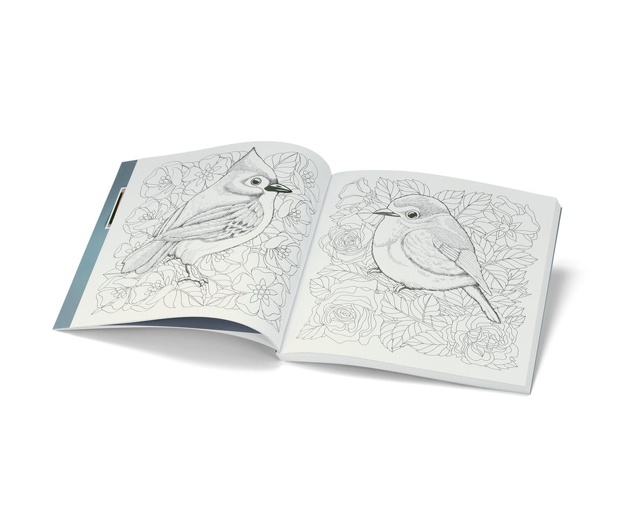 Offenes Buch mit Vogel- und Blumenzeichnungen; Buch: »Mandala und Farbenzauber«