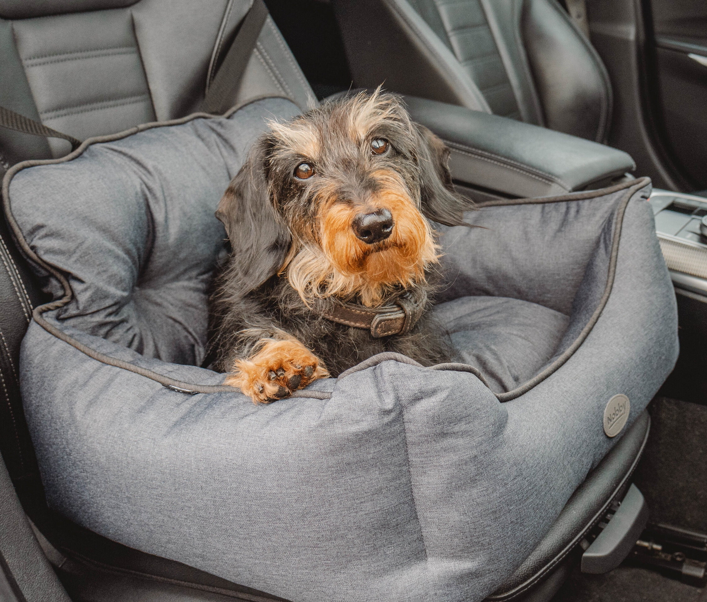 Thumbnail - Tchibo - Hunde-Autositz »Kadek« - dunkelgrau